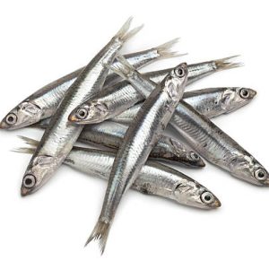 ANCHOIS 45/50 EXTRA  X 6 KG
