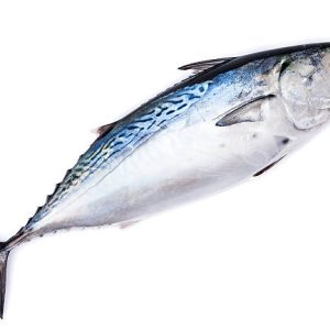BONITE 800/1000 EXTRA 5kg