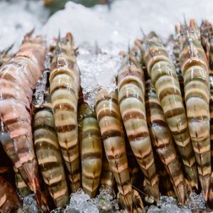 CREVETTES CUIT.MONODON 20/30 NIGERIA 2kg