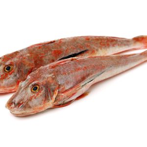 GRONDIN PERLON 500/1000 3 KG