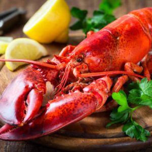HOMARD CANADIEN 400/600 1 PIECE