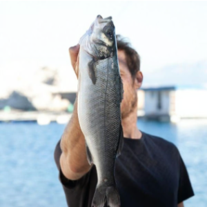 LOUP FRIOUL BIO 300/450 G X 6 KG