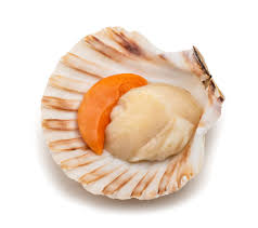 NOIX ST JACQUES FRANCE AC X 2 KG