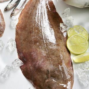 SOLE ENTIERE 200/300  5 KG